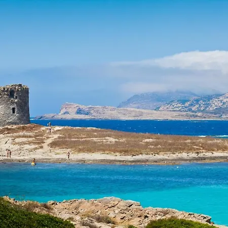 Ξενοδοχείο με διαμερίσματα - Cala Lupo